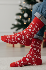 AILO red Christmas pattern socks | Sokisahtel