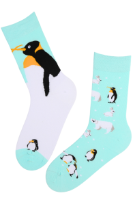 pingviinidega puuvillased sokid