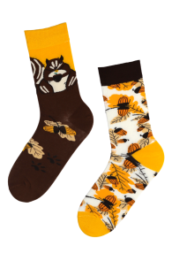 Хлопковые носки жёлто-коричневого цвета с изображением белок, листьев дуба и желудей ANIMAL WORLD | Sokisahtel