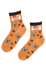 Хлопковые носки оранжевого цвета с изображением милых собачьих мордочек и следов от лап BESTDOG | Sokisahtel