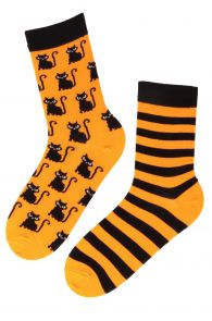 BETTER cotton socks with kittens | Sokisahtel