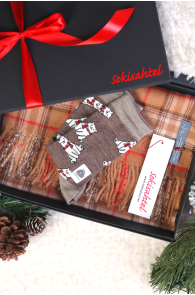 Alpaca wool beige checkered scarf and CUTE BEAR socks gift box | Sokisahtel