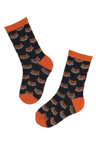 BROWN FOX cotton socks with foxes for kids | Sokisahtel