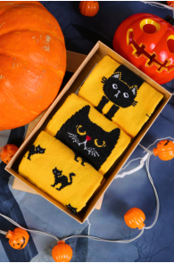 Halloween gift box DEXTER with 3 pairs of socks | Sokisahtel