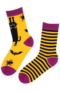 Хлопковые носки на Хэллоуин с изображением ведьмовских питомцев DEXTER | Sokisahtel