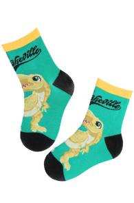 Green cotton socks for children featuring a dinosaur, with black heel and toe sections.