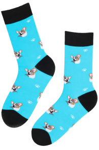 DOGGY sinised corgidega puuvillased sokid | Sokisahtel