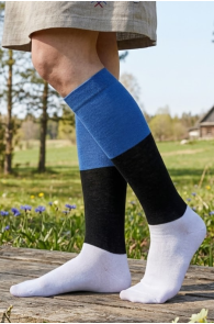 Женские хлопковые гольфы цветов флага ЭСТОНИИ | Sokisahtel