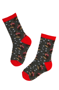 ENJOY cotton socks with foxes for kids | Sokisahtel