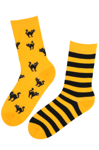 Хлопковые носки жёлтого цвета с изображением чёрных кошек и полосок на Хэллоуин SCAREDY-CAT | Sokisahtel
