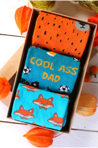 Подарочный яркий набор из 3 пар запоминающихся хлопковых носков ко Дню Отца COOL DAD (крутой папа) | Sokisahtel