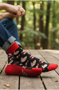 FUNGI seentega puuvillased sõnumiga sokid | Sokisahtel