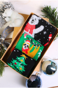 Подарочный набор из 3 пар праздничных носков COMETTE | Sokisahtel