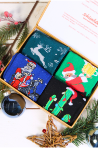 FELIX gift box with 4 pairs of socks | Sokisahtel