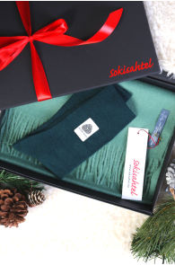 Подарочный комплект из шерстяных носков зелёного цвета DOORA и однотонного шарфа мятно-зелёного цвета из шерсти альпака | Sokisahtel