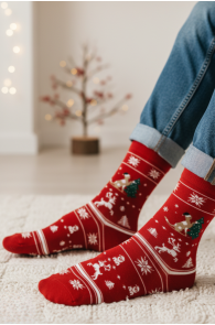 JORMA punased kassiga jõulusokid | Sokisahtel