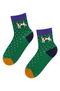 KENNEL green cotton dog socks for women | Sokisahtel
