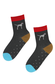 KENNEL gray cotton dog socks for women | Sokisahtel