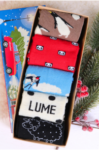 LAMB merino wool gift box with 5 pairs of socks 