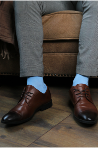 Костюмные носки из вискозы голубого цвета в лаконичном стиле MARLON | Sokisahtel