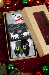 JAKARTA jõuluteemaline kinkekarp 3 sokipaariga | Sokisahtel