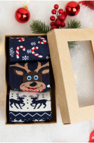 JAMAICA jõuluteemaline kinkekarp 3 sokipaariga | Sokisahtel