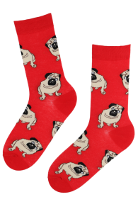 Хлопковые носки красного цвета с изображением собак породы мопс MOPS | Sokisahtel