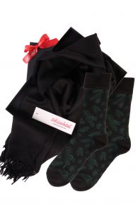 Alpaca wool scarf and TREEPEOPLE socks gift box for men | Sokisahtel