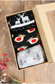 KRETON Christmas gift box with 3 pairs of socks | Sokisahtel