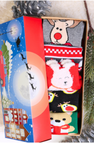 NICOLA Christmas gift box with 5 pairs of socks 