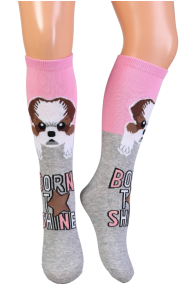 NOVA cotton knee-highs with dogs for kids | Sokisahtel