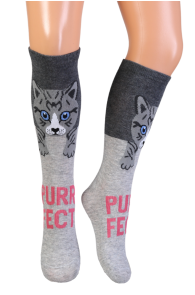 NOVA grey knee-highs with cats for kids | Sokisahtel