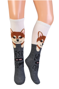 NOVA cotton knee-highs with shiba inu dogs for kids | Sokisahtel