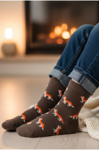 OLD FOX pruunid meriinovillased rebastega sokid lastele | Sokisahtel