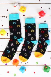 PARDIRALLI family gift box containing 3 pairs of black duck race socks | Sokisahtel