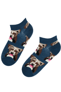 PITBULL cotton low-cut socks 