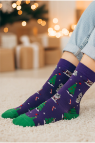 PRETTY lillad kassidega meriinovillased sokid | Sokisahtel