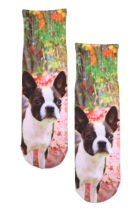 bulldogi pildiga prinditud sokid