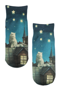 Printed children's socks featuring a cat on the roof and a starry sky.