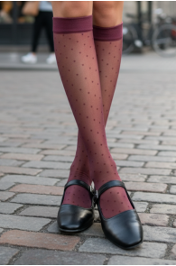 PUNTINI veinipunased täpilised põlvikud | Sokisahtel