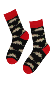 BART black cotton socks with taco dinosaurs | Sokisahtel