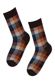 WILHELM brown checkered socks | Sokisahtel
