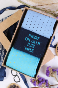 TAAVI solid gift box with 3 pairs of socks | Sokisahtel