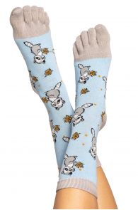 RACOON patterned toe socks for men and women | Sokisahtel