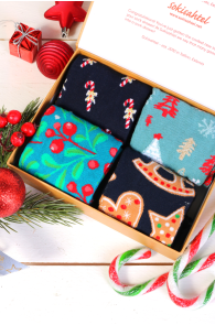 Праздничный подарочный набор из 4 пар ярких запоминающихся хлопковых носков в зимней тематике для мужчин и женщин WINTERTIME | Sokisahtel