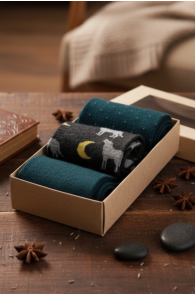 WOLFSTAR meriinovillaste sokkide kinkekarp | Sokisahtel