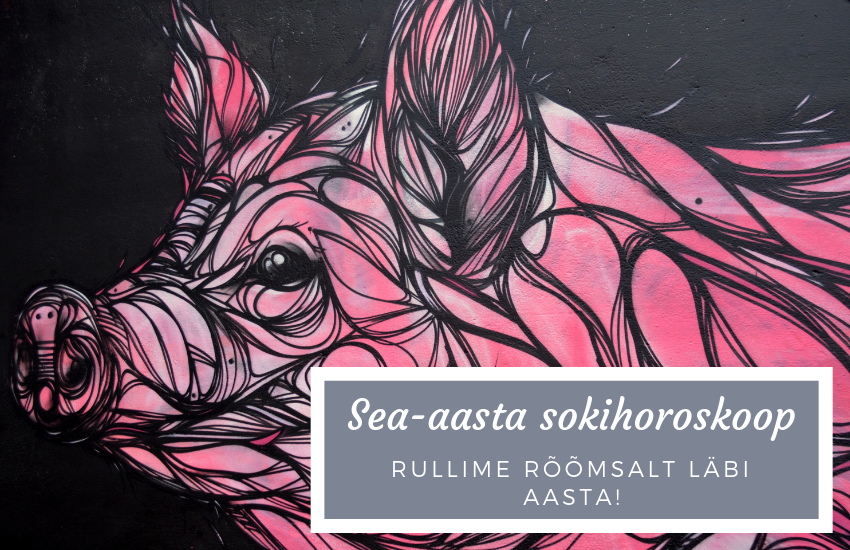 Image illustration for Sokihoroskoop 2019! Tulemas on sigalahe aasta!