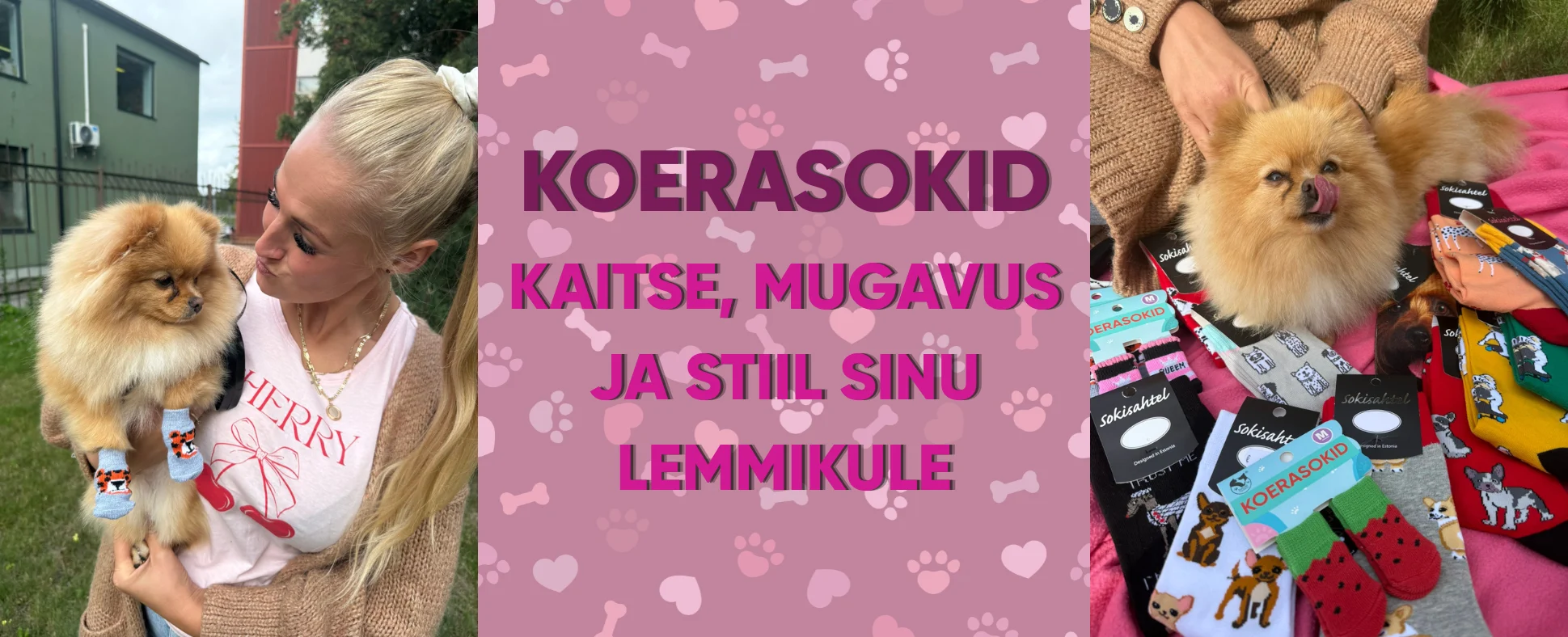 Koerasokid: kaitse, mugavus ja stiil sinu lemmikule
