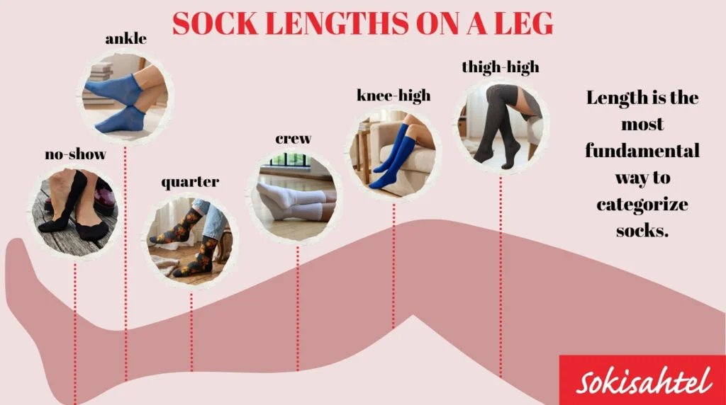 Guide to sock lengths comparing no-show, ankle, quarter, crew, knee-high, and thigh-high styles.