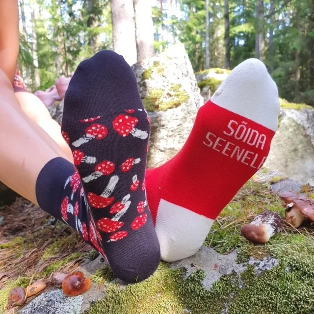 SEENELE kokasokid lastele
